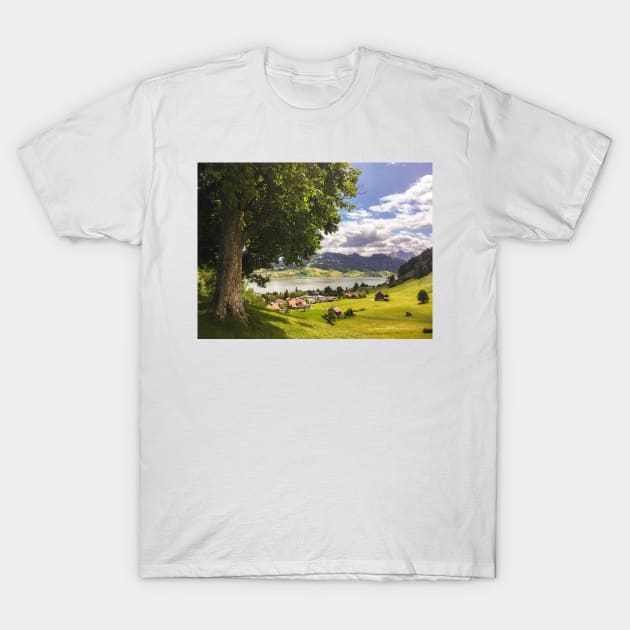 Valley in Switzerland bathing in sunlight T-Shirt by Dturner29